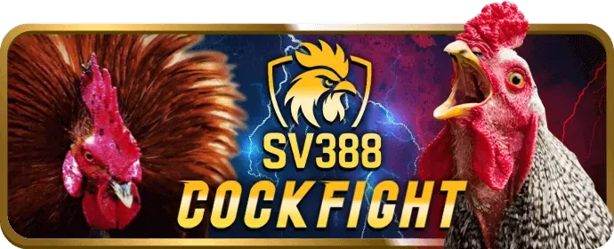 Ưu đãi khuyến mãi b69